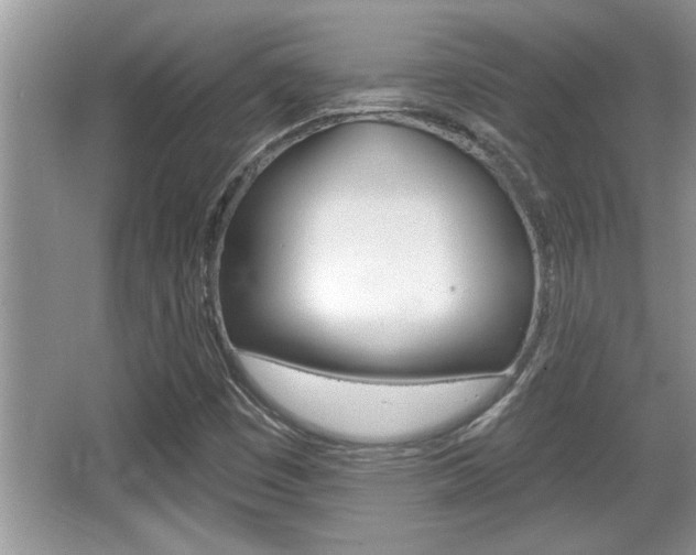 X0000065951449200603030850
