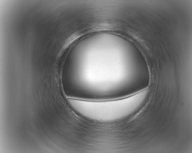 X0000065951453200603030850