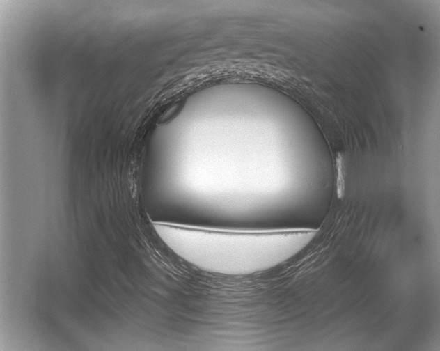 X0000065951491200603030849