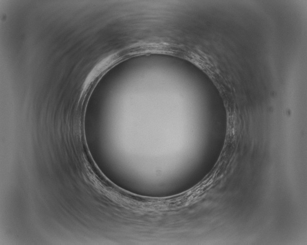 X0000065950004200603031114