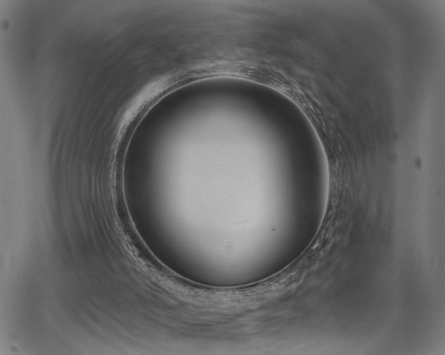 X0000065950006200603031114