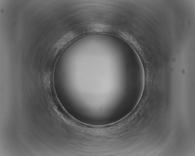 X0000065950010200603031114