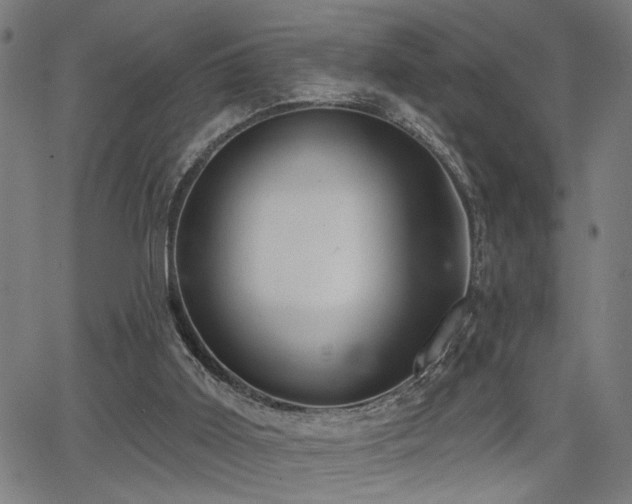 X0000065950011200603031114