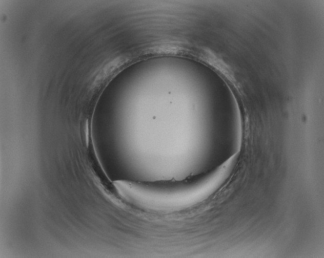 X0000065950013200603031114