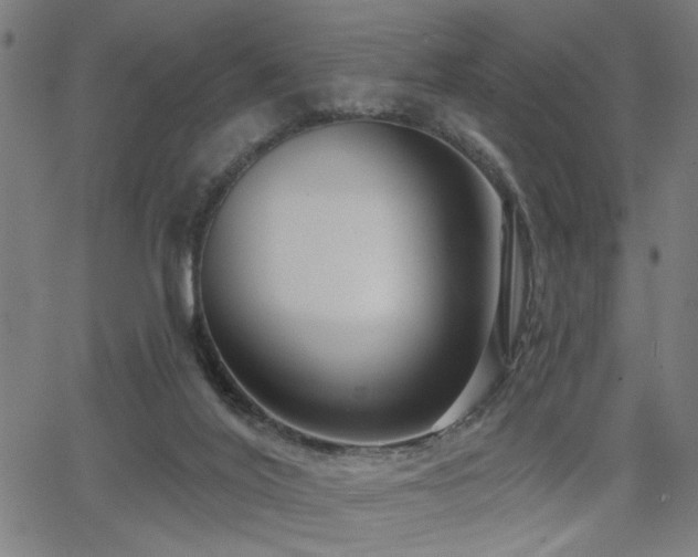X0000065950020200603031114