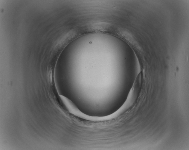 X0000065950021200603031114
