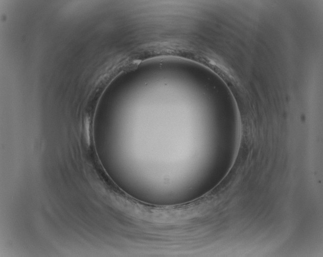 X0000065950022200603031114