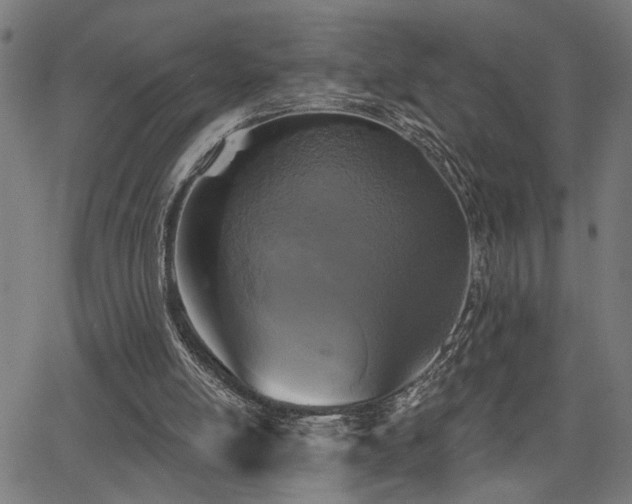 X0000065950054200603031113