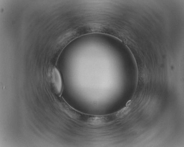 X0000065950082200603031113