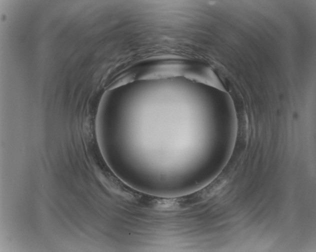X0000065950088200603031113