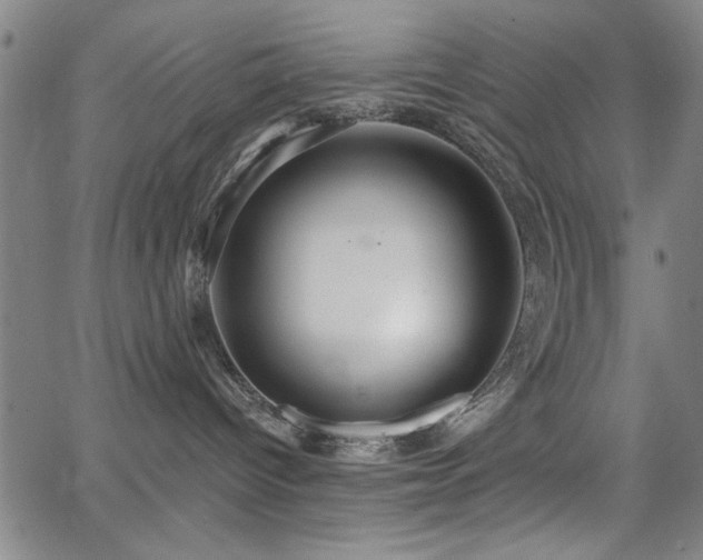 X0000065950096200603031114