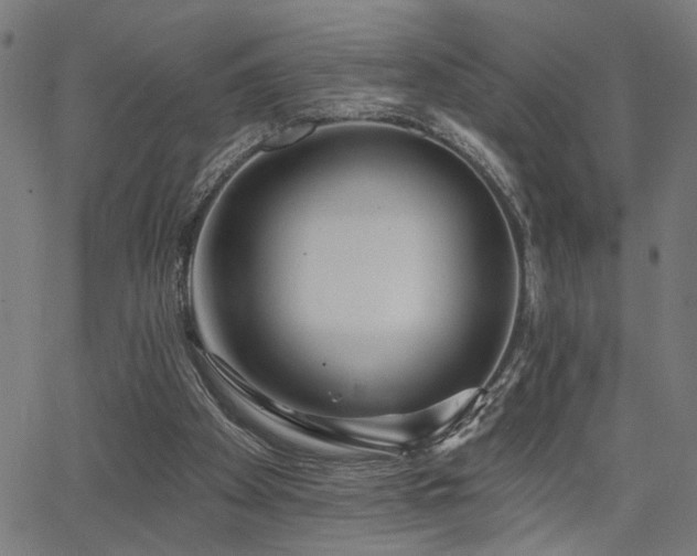 X0000065950105200603031113