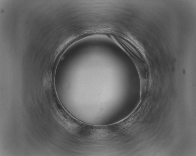 X0000065950107200603031113