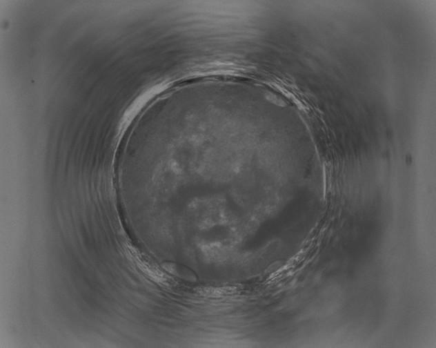 X0000065950147200603031111
