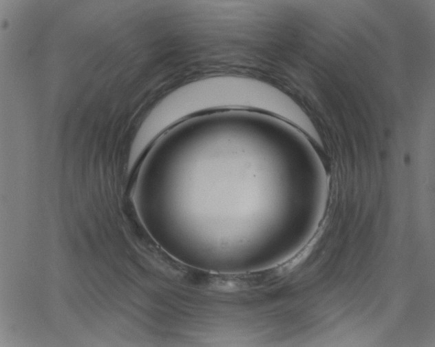X0000065950174200603031112
