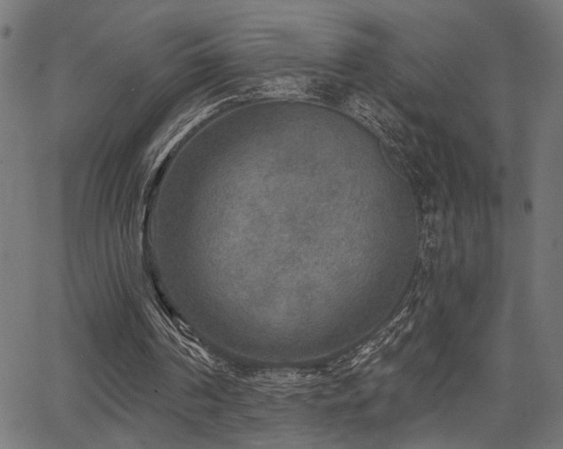 X0000065950194200603031111