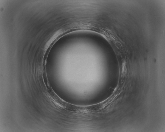 X0000065950195200603031111