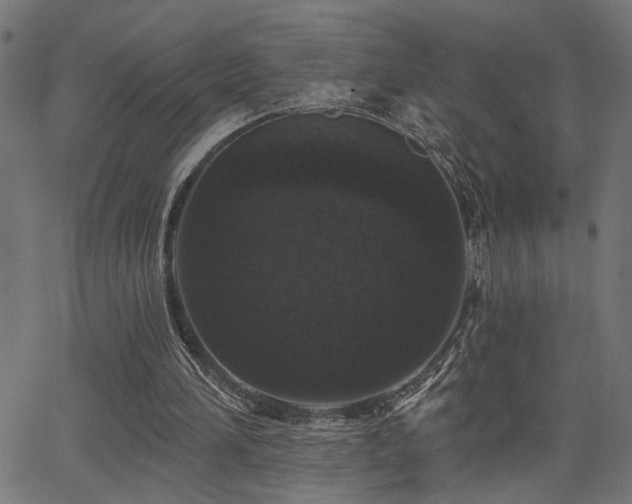 X0000065950196200603031111