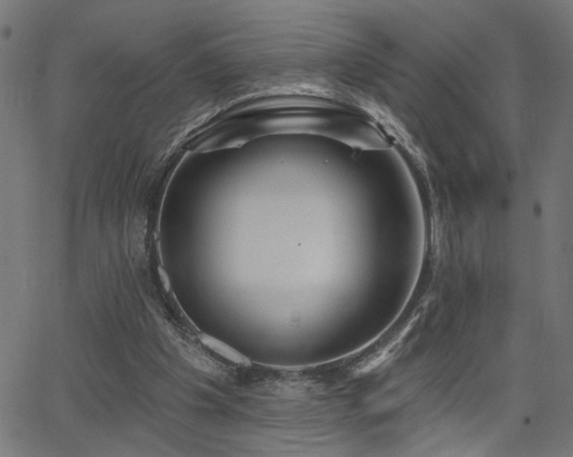 X0000065950201200603031111