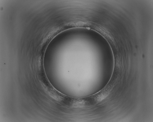 X0000065950206200603031111