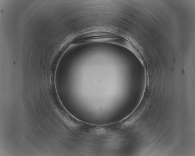 X0000065950253200603031110