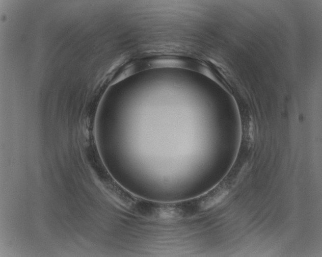 X0000065950264200603031110