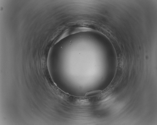 X0000065950283200603031110