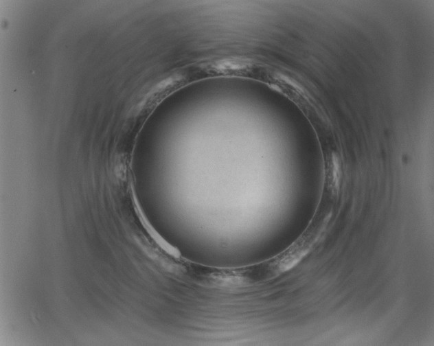 X0000065950284200603031110