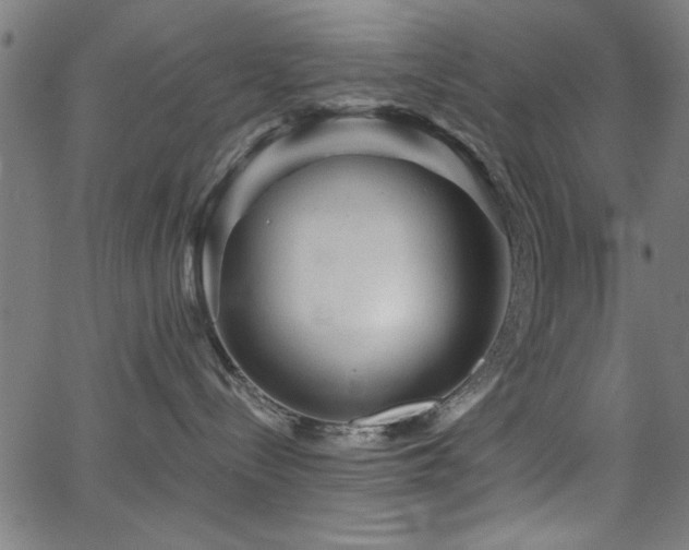 X0000065950288200603031110