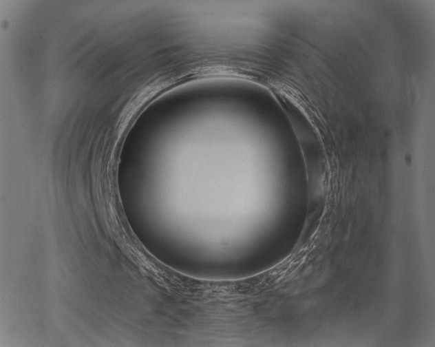 X0000065950289200603031110