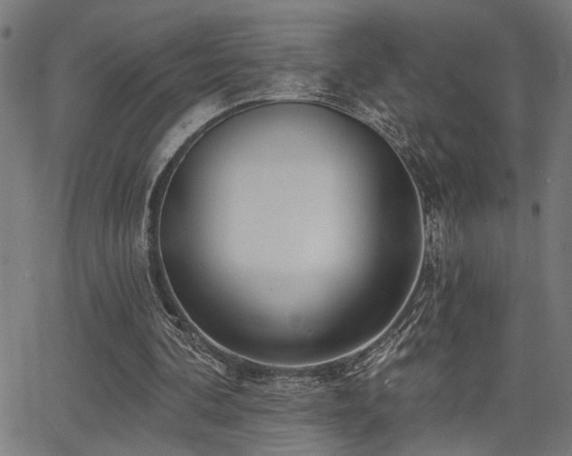 X0000065950292200603031110