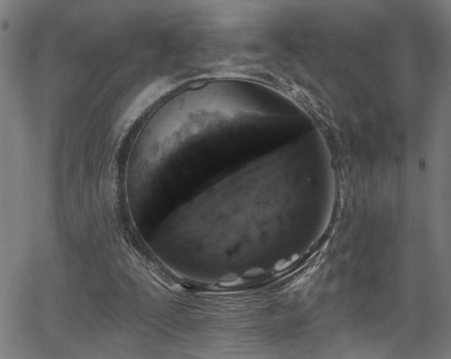 X0000065950295200603031109