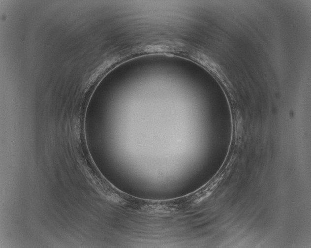 X0000065950297200603031109