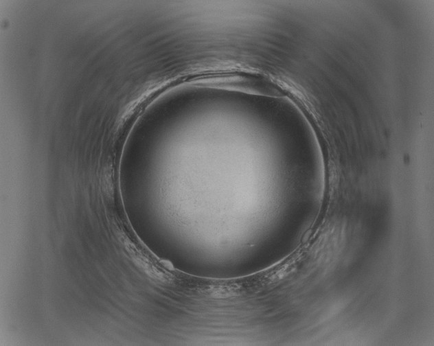 X0000065950345200603031108