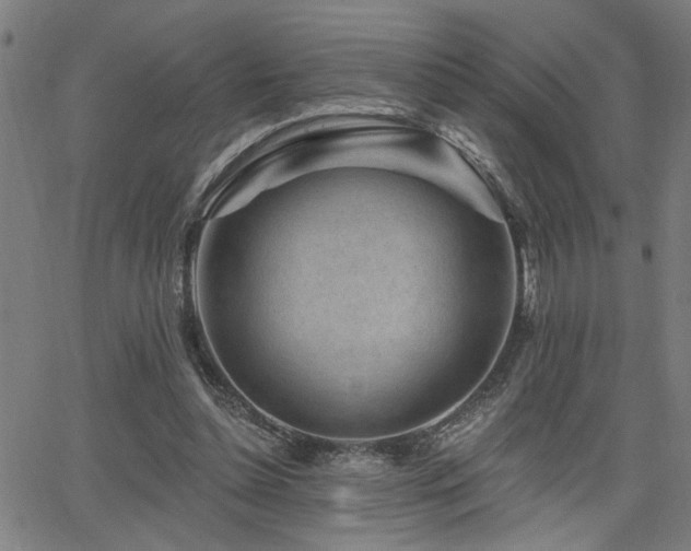 X0000065950348200603031108