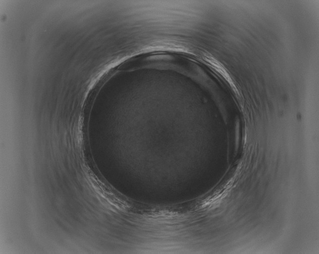 X0000065950387200603031108