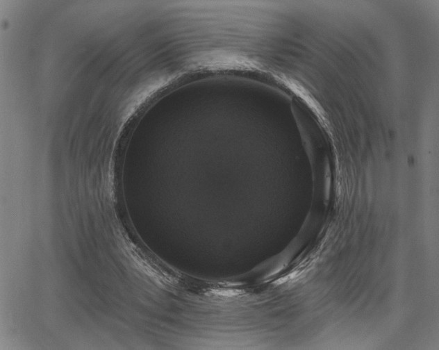 X0000065950391200603031108
