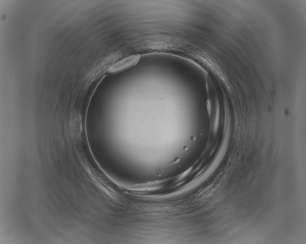 X0000065950397200603031108