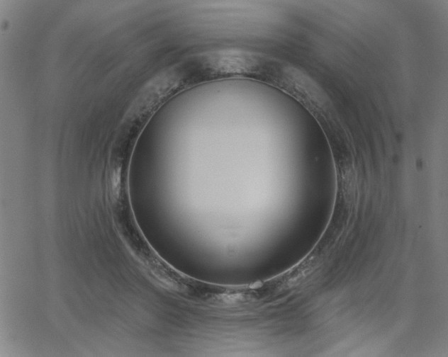 X0000065950406200603031108