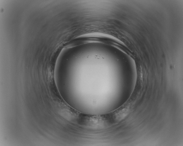 X0000065950420200603031107