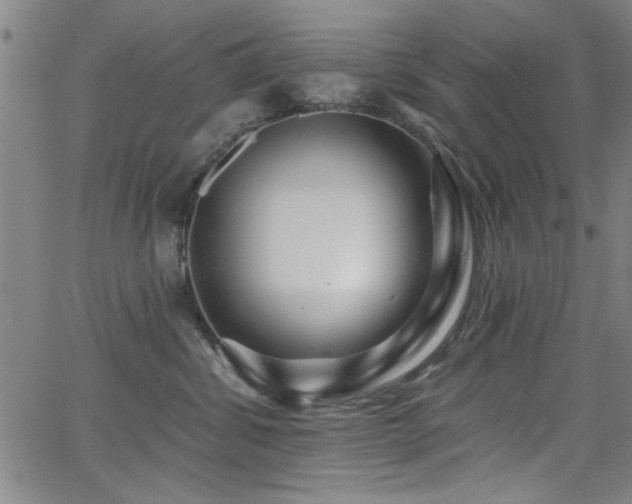 X0000065950428200603031107