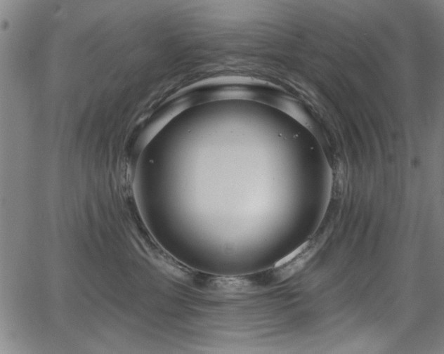 X0000065950429200603031107