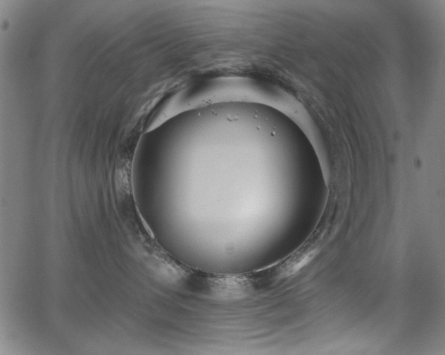 X0000065950432200603031107