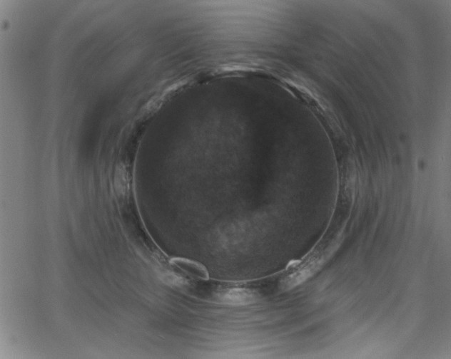 X0000065950467200603031107