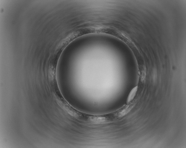X0000065950476200603031107