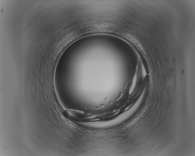 X0000065950481200603031106
