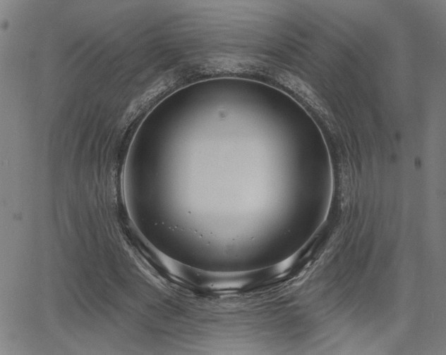 X0000065950489200603031106