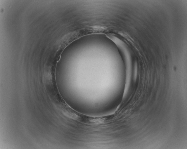 X0000065950516200603031106