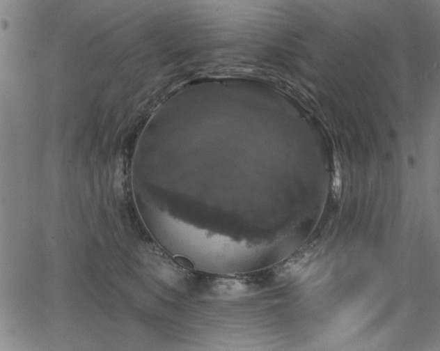 X0000065950519200603031106