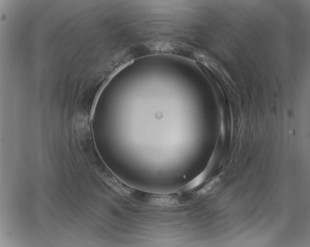 X0000065950521200603031106